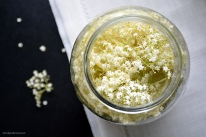 kakerlagethjemme.com