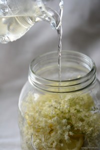 kakerlagethjemme.com